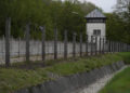 ‘My second of liberation’: Holocaust survivor displays on 80 years since releasing of Dachau