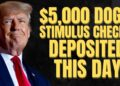 ,000 Stimulus Checks DEPOSITED on THIS Day | ,000 DOGE Stimulus Checks