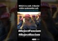 Monkey see monkey do #maga #magaisacult #fascism  #pleasesubscribetomyyoutubechannel #civilrights