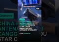 Saingan Starlink?