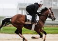 Journalism wins one hundred and fiftieth Preakness Stakes in thrilling race