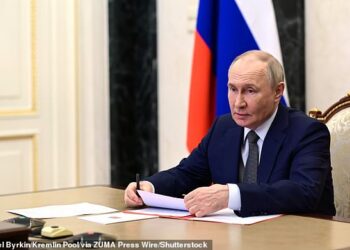Trump to carry new peace talks with Putin and Zelensky as president vows to ‘cease the massacre’