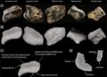 Hidden metropolis constructed 140,000 years in the past found at backside of ocean