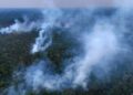 Wildfires fueled deforestation surge in rainforests just like the Amazon final 12 months