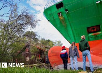 Man in Norway wakes to search out large container ship in backyard