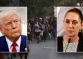 Mexican president declines Trump’s supply of U.S. troops to assist struggle drug cartels