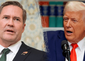 Trump shares particulars about his seek for a brand new nationwide safety advisor