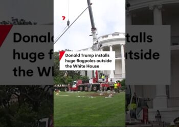 Donald Trump installs two 26m flagpoles outdoors White Home