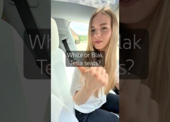 White or Black Tesla seats? #tesla #car