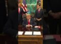 US Vice President JD Vance Calls Trump’s Peace Efforts A ‘Celebratory Second For All Of US' | N18G