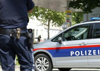 Eight killed in Austria college taking pictures, inside ministry says