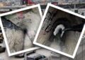 Border Patrol finds ‘refined’ drug tunnel between Tijuana and San Diego