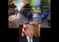 Park close to me  Trump indicators order to boost nationwide park charges for international guests