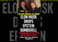 Elon Musk Accuses Bannon of Epstein Ties | Stunning Declare Sparks Proper-Wing Feud