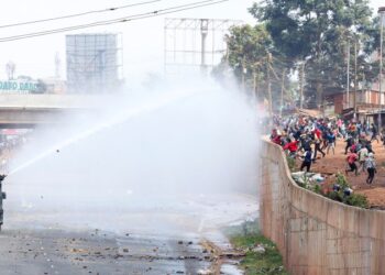 11 useless and a whole lot arrested in Kenya’s anti-government protests, police says