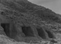 4,500-12 months-Previous DNA from Historical Tooth Reveals Secrets and techniques of a Misplaced Civilization