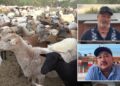 Hispanic staff worry harder immigration guidelines, Arizona farmer says