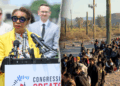 Immigrants are wanted for ‘redistricting functions,’ Home Dem says in resurfaced video
