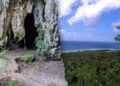 Prehistoric rice phytoliths found at Ritidian Web site in northern Guam