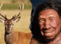 Neanderthals ran ‘fats manufacturing unit’ 125,000 years in the past, research finds