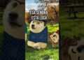 Intentaron secuestr4r a mi hija #cheems #doge Intentaron secuestr4r a mi hija #cheems #doge