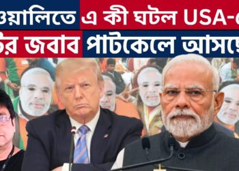 জিভ কাটো লজ্জায়! Diwali in USA | MAGA | Indian Tradition | Fireworks | Modi |  Canada |