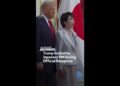 Trump Guided by Japanese PM Throughout Official Reception Trump Guided by Japanese PM Throughout Official Reception