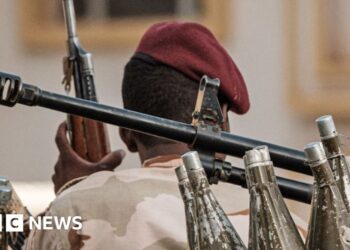 WHO chief hits out over reviews of mass killings in el-Fasher hospital WHO chief hits out over reviews of mass killings in el-Fasher hospital