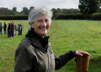 Left-leaning impartial Catherine Connolly wins Irish presidential election Left-leaning impartial Catherine Connolly wins Irish presidential election