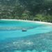 Aged cruise passenger discovered useless after being deserted on tropical island Aged cruise passenger discovered useless after being deserted on tropical island