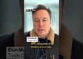 What occurs when Elon Musk calls you names? What occurs when Elon Musk calls you names?