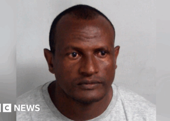 Migrant intercourse offender launched on account of ‘human error’, says Lammy Migrant intercourse offender launched on account of ‘human error’, says Lammy