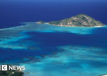 Lady dies after being left behind by cruise ship on Australian island Lady dies after being left behind by cruise ship on Australian island