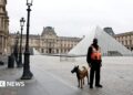 We failed to guard jewels from ‘brutal’ criminals, Louvre director says after heist We failed to guard jewels from ‘brutal’ criminals, Louvre director says after heist