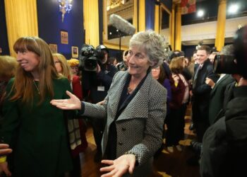 Far-left candidate who known as Israel ‘terrorist state’ elected president of Eire Far-left candidate who known as Israel ‘terrorist state’ elected president of Eire