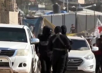 Purple Cross seen aiding Hamas searching for hostages’ our bodies in Rafah space Purple Cross seen aiding Hamas searching for hostages’ our bodies in Rafah space