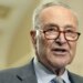 Schumer slams Trump for ‘skipping city’ on Asia journey amid shutdown Schumer slams Trump for ‘skipping city’ on Asia journey amid shutdown
