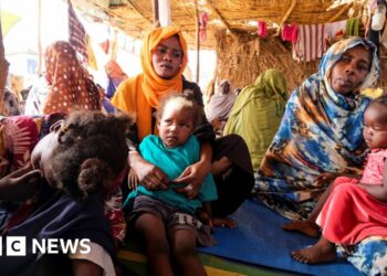 Insurgent forces say they’ve seized Sudan military headquarters Insurgent forces say they’ve seized Sudan military headquarters
