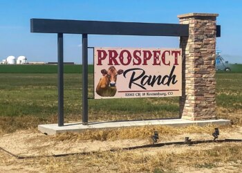 Six folks die from poisonous hydrogen sulfide gasoline at Colorado dairy farm Six folks die from poisonous hydrogen sulfide gasoline at Colorado dairy farm