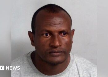 Lammy says human error led to migrant intercourse offender launch as Tories name it ‘nationwide embarrassment’ Lammy says human error led to migrant intercourse offender launch as Tories name it ‘nationwide embarrassment’