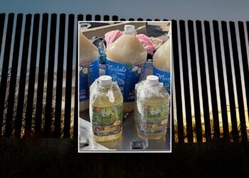 CBP seizes 90 kilos of liquid meth hidden in bottles at Eagle Move CBP seizes 90 kilos of liquid meth hidden in bottles at Eagle Move