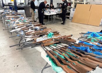 Father and son arrested for allegedly smuggling 400 firearms into Mexico from US Father and son arrested for allegedly smuggling 400 firearms into Mexico from US