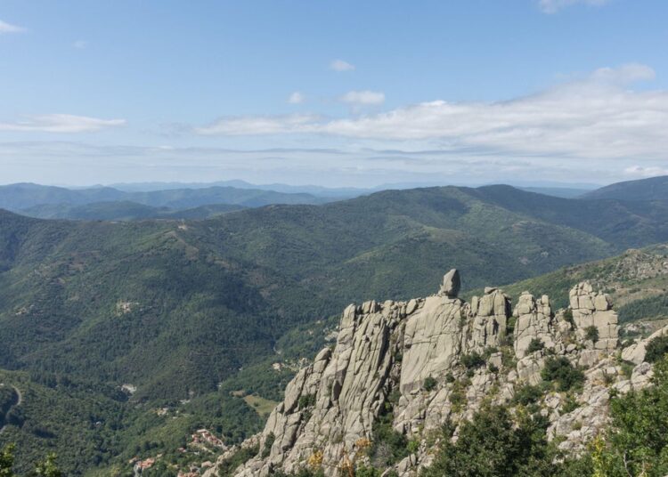Bike owner falls down 130-foot ravine in France, survives 3 days by consuming wine he had in buying bag Bike owner falls down 130-foot ravine in France, survives 3 days by consuming wine he had in buying bag