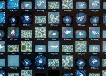 Creating brains in a lab doesn’t need to be like Frankenstein this Halloween Creating brains in a lab doesn’t need to be like Frankenstein this Halloween