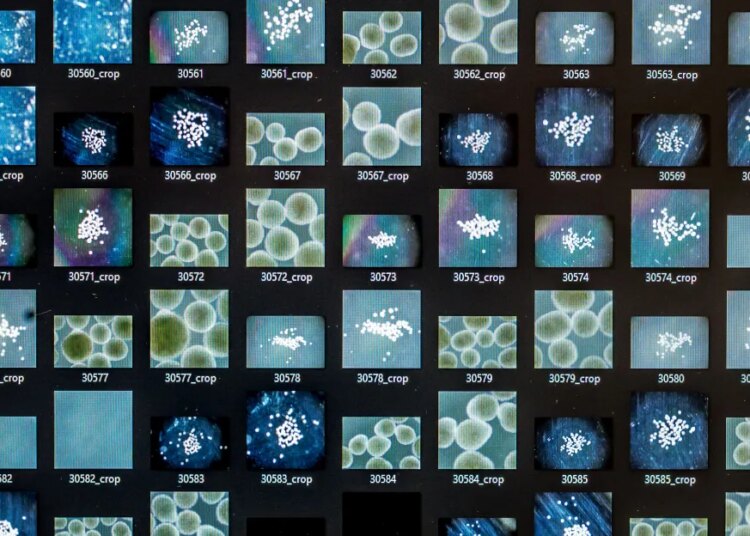 Creating brains in a lab doesn’t need to be like Frankenstein this Halloween Creating brains in a lab doesn’t need to be like Frankenstein this Halloween