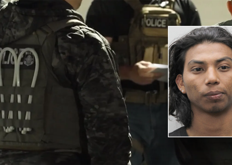 Blue county blasted after serial offender with 10 arrests is seized by ICE