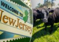 NJ household wins struggle to save lots of 175-year farm from eminent area seizure NJ household wins struggle to save lots of 175-year farm from eminent area seizure