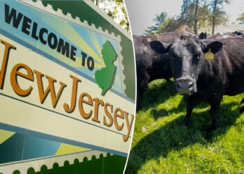 NJ household wins struggle to save lots of 175-year farm from eminent area seizure NJ household wins struggle to save lots of 175-year farm from eminent area seizure
