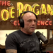Rogan says he goes to church, marvels at historic consensus on Jesus Christ Rogan says he goes to church, marvels at historic consensus on Jesus Christ