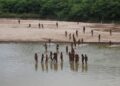 Half of uncontacted Indigenous tribes “might be worn out” in 10 years, report says. Here is what to know. Half of uncontacted Indigenous tribes “might be worn out” in 10 years, report says. Here is what to know.